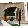 PIETRA TRANI RETROSEGATA TRANCIATA NATURALE PIANO CAVA CM 2
