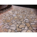 PIETRA TRANI SCORZETTA GIALLO MURGIA RETROSEGATA CM 2