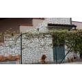 PIETRA TRANI SCORZETTA ANTICATA BIANCA RETROSEGATA CM 2