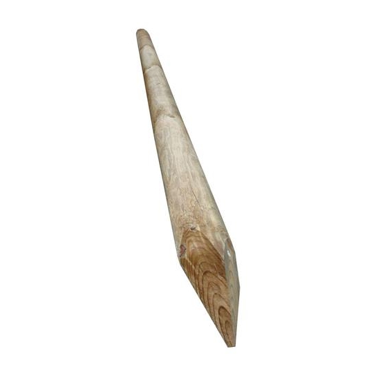 PALO LEGNO TRATTATO CON PUNTA