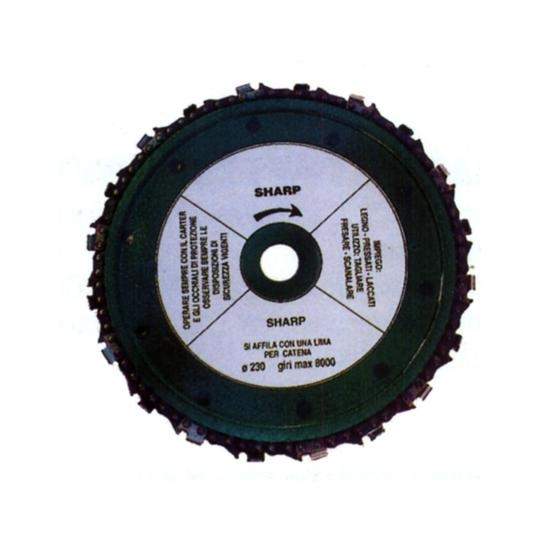 DISCO PER LEGNO CON CATENA Ø MM 230 FORO Ø MM 22,23 DISCO PER LEGNO CON CATENA Ø MM 230 FORO Ø MM 22,23
