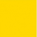 COLORANTE TINTOREL CONCENTRATO ML 50 ITALCHIMICI