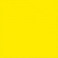 COLORANTE TINTOREL CONCENTRATO ML 50 ITALCHIMICI
