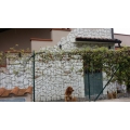 PIETRA TRANI SCORZETTA ANTICATA BIANCA RETROSEGATA CM 2