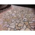 PIETRA TRANI SCORZETTA GIALLO MURGIA RETROSEGATA CM 2