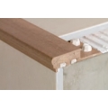 PROFILO N-PELDANO MAXI MM 2500X10 MXPARDO-95