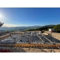 VESPAIO A CASSEFORME CUPOLEX